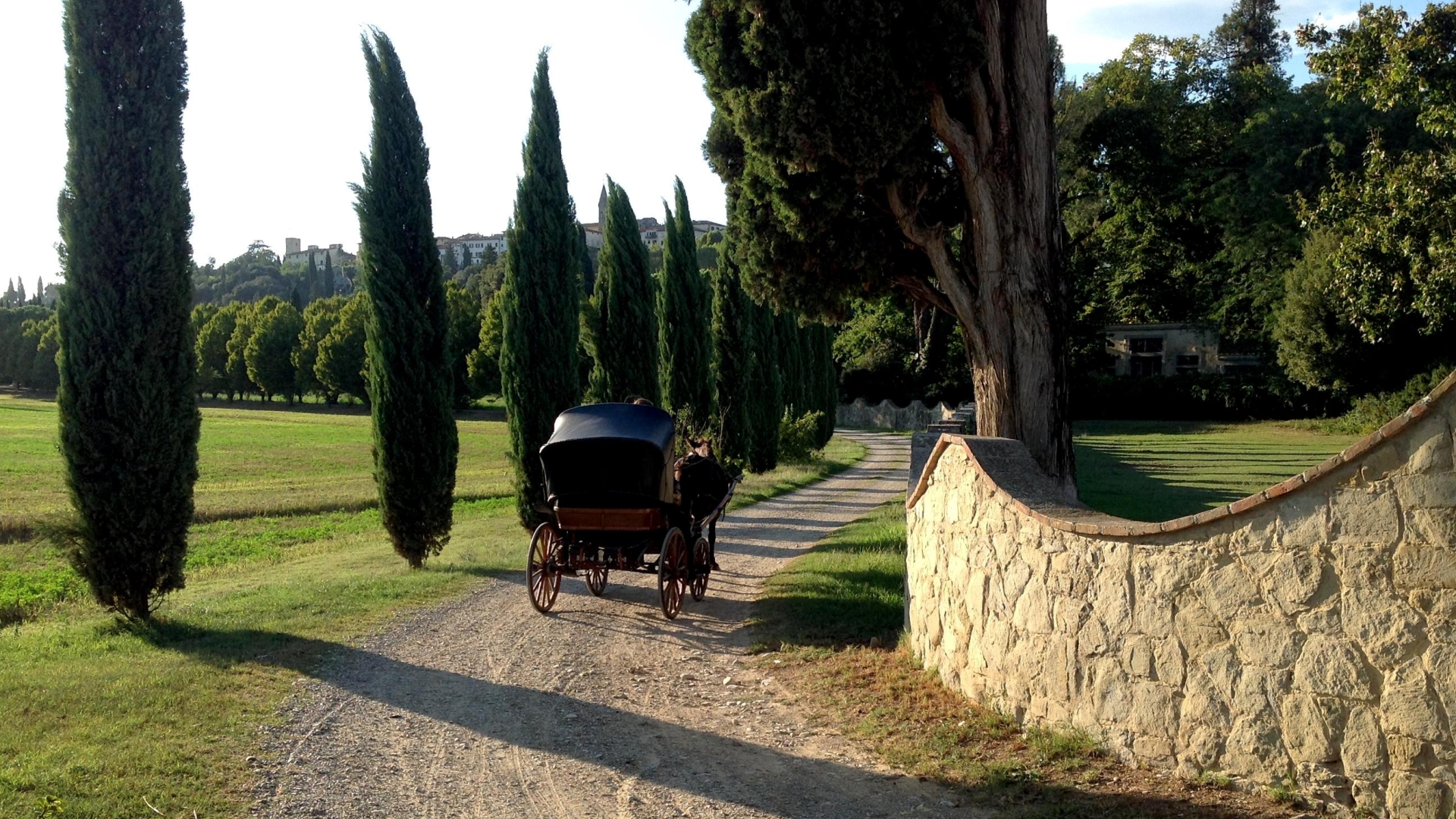Fattoria Isola Boutourline Young Conte George — foto 3